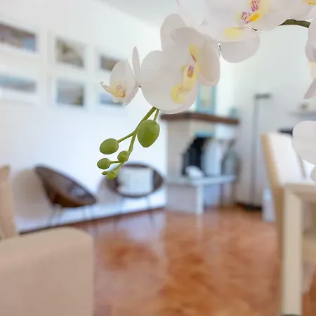 Luisa's House Holiday home *